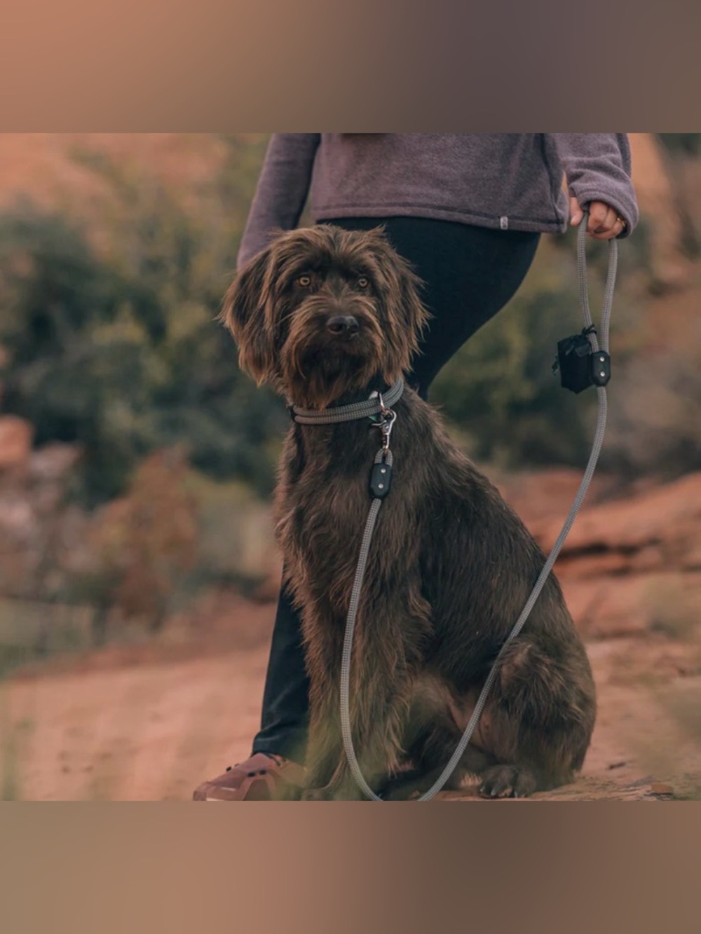 Dog Leash
